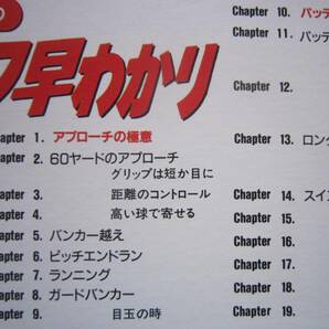 ■レーザーディスク・LD■ すぐに役立つ 青木功のゴルフ早わかり OUT／IN ■ 国内盤帯付LD の画像4