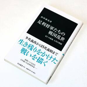 「足利将軍たちの戦国乱世 応仁の乱後、七代の奮闘」　山田康弘（著）　中公新書　