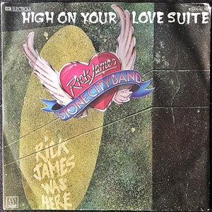 【Disco & Soul 7inch】Rick James / High On Your Love Suite