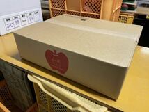 【農家直送】山形県産りんご　ふじ＆シナノゴールド　ご家庭用訳あり品5kg14個入り_画像5