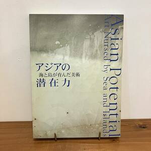 Art hand Auction 231207 Katalog Potenzial von Asien: Kunst genährt durch das Meer und die Inseln 2005 Aichi Prefectural Museum of Art * Seltenes Kunstbuch, Altes Buch, Fotobuch, Guter Zustand, Malerei, Kunstbuch, Sammlung, Katalog