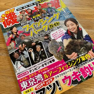 磯投げ情報　2017年1月　定価885円　保存状態良し　釣り雑誌　東京湾ルアーフィッシング案内