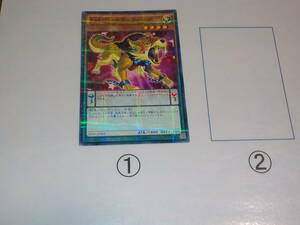 遊戯王　SJMP　EMゴールド・ファング　パラレル中古です。