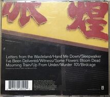 The Wallflowers[Breach](LTD-2CD)オルタナカントリー/ルーツロック/ギターポップ/Elvis Costello/Frank Black(Pixies)/The Jayhawks_画像2