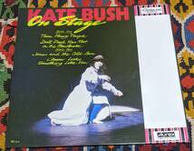 70's ケイト・ブッシュ Kate Bush （国内盤ミニLP）/ ミステリー（ケイト・ブッシュ・オン・ステージ） EMI EMS-10001 1979年リ_画像3
