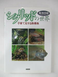 本☆シクリッドの世界【子育てをする熱帯魚】 (き)　(3月24日に処分)