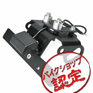 BigOne コスパ良 Z800 ZR800A Z800 ABS ZR800B リア リヤ フェンダー レス キット LED SMD ナンバー灯