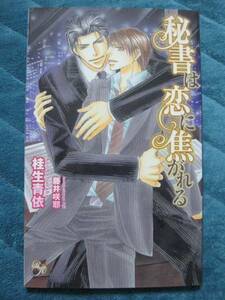 桂生青依　秘書は恋に焦がれる　新書