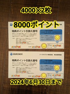 8000ポイント　ソースネクスト　株主優待券　（4000×２名義）　コード通知