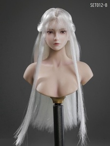 *LZ Toys*1/6 woman head B (Silver White Hair) LZ-SET012B 7004