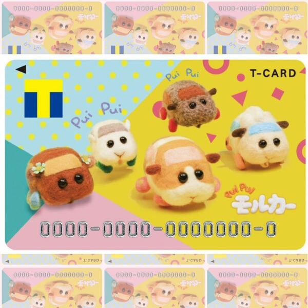 安心、安全のゆうパケット発送！PUI PUIモルカー Tカード Tポイントカード