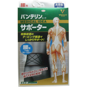 バンテリンサポーター 腰用 大きめ Ｌサイズ ブラック １枚入 /k