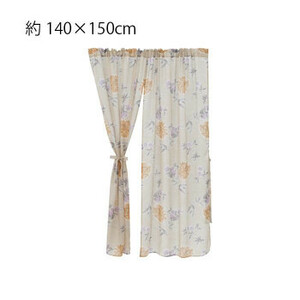 川島織物セルコン アルス スタイルのれん 140×150cm EJ1004 BE ベージュ /a