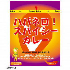. present ground curry is spring ro Spy si- curry 10 food set /a