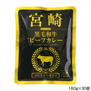 一 はじめ 宮崎黒毛和牛ビフーカレー 160g×30個 P10 /a