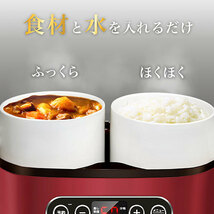 SOUYI JAPAN ソウイジャパン マルチスチーム炊飯器 レッド SY-110-RD /l_画像3