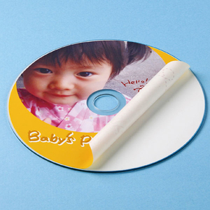 【10個セット】 サンワサプライ インクジェットDVD/CDラベル(内径24mm・マット) LB-CDR002NX10 /l