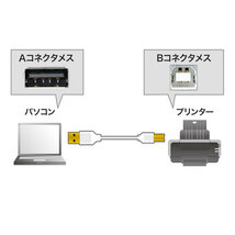 【5個セット】 サンワサプライ 極細USBケーブル (USB2.0 A-Bタイプ) 2m KU20-SL20WKX5 /l_画像2