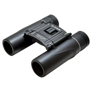  Kenko da is p rhythm type 10 times binoculars K20611516 /l