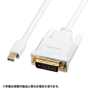 サンワサプライ ミニDisplayPort-DVI変換ケーブル　3m KC-MDPDVA30 /l