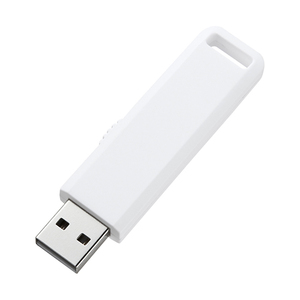  Sanwa Supply USB2.0 memory UFD-SL4GWN /l