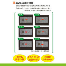 ASQUA Ail.removerバイオ (ブラシAセット)200mlスプレー+ブラシ&クロス ASQUA13444 /l_画像6