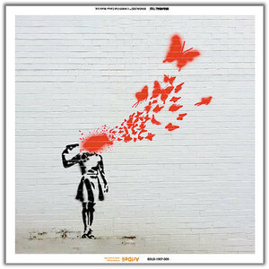 Digital Oasis Visual Sonic アートパネルBluetoothスピーカー Banksy [BDLD-1907-009] BDLD-1907-009 /l