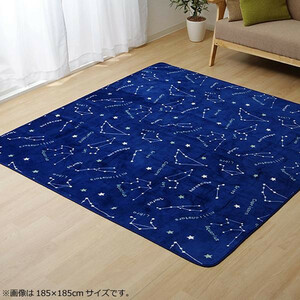 ラグ カーペット ホットカーペットカバー 『WSミリオン　RUG』ネイビー 約200×300cm 9809985 /a