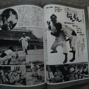 キネマ旬報 1978年10月上旬号 野生の証明 高倉健、薬師丸ひろ子 ダイナマイトどんどん 岡本喜八 菅原文太 ブルック・シールズの画像6