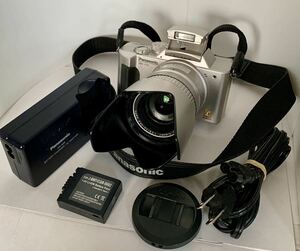 ☆極上美品・動作品☆パナソニック Panasonic DMC-FZ2 シャッター フラッシュ 録画OK！LEICA DC VARIO－ELMARIT レンズ