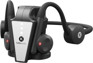 Kaibo Flex 骨伝導イヤホン ワイヤレス IP55 防水 Bluetooth 5.2 Type-C急速充電 充電スタンド マイク付き 