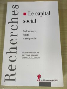 健康における社会的不平等/Les inegalites sociales de sante 資本主義におけるソーシャル・キャピタル/生活条件/社会学理論/洋書/B3226175