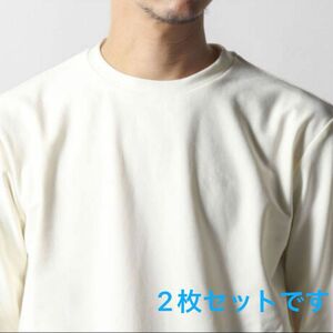 ノーリーズのＳｔｕｔｏｓｔｅｉｎ／シュテットシュタインロンＴ　2枚セットです