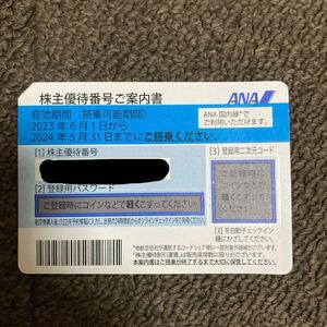 ANA 株主優待 全日空 飛行機 チケット 2024年5月31日まで