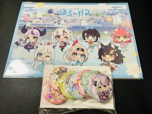 ほろ～かる京都 スタンプラリー 特典 クリアファイル 缶バッジセット