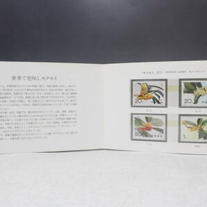 【文明館】中国切手 「モクセイ」 1995年 y94の画像3