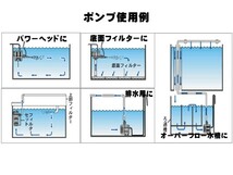 カミハタ リオプラス Rio+800 50Hz 東日本仕様 水中ポンプ　管理60_画像2