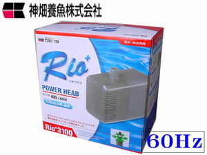 カミハタ リオプラス Rio+3100 60Hz 西日本仕様 水中ポンプ　管理80