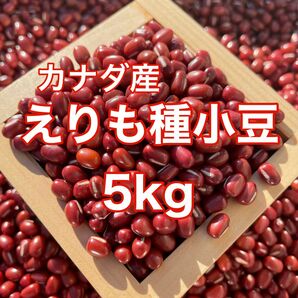 カナダ産 えりも種小豆5kg