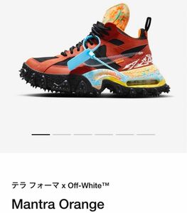 激安！新品未使用！レア！NIKE テラフォーマ　オフホワイト　サイズ26.5 ナイキ