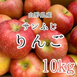 8サンふじりんご 2980円 10kg 山形県産 訳あり家庭用