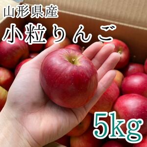 2小粒サンふじりんご 1680円 5kg 山形県産 訳あり家庭用