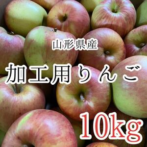 4加工用りんご 2280円 10kg 山形県産 訳あり家庭用