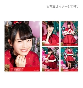 限定品NMB48 個別生写真5枚セット 2018. Xmas Special クリスマス 特別衣装 個別　新澤菜央(研究生)　サンタ