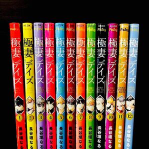 極妻デイズ1〜12巻