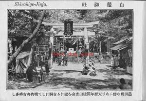 複製復刻 絵葉書/古写真 東京 東向島 白髭神社 明治期 TMA_010