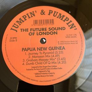 The Future Sound Of London /Papua New Guinea/Andrew Weatherall Mix/Graham Massey MIX/original mix/dub mix/DYL /fjordセットの画像5