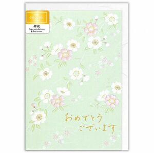 多目的カード　バースデーカード　誕生日　　入園　入学　おめでとうございます　メッセージカード　グリーティングカード