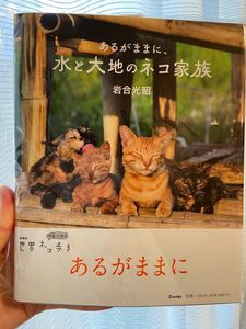 岩合光昭　あるがままに、水と大地のネコ家族