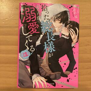 拾った総長様がなんか溺愛してくる〈泣〉 （ケータイ小説文庫　ふ３－１　野いちご） ふわ屋。／著